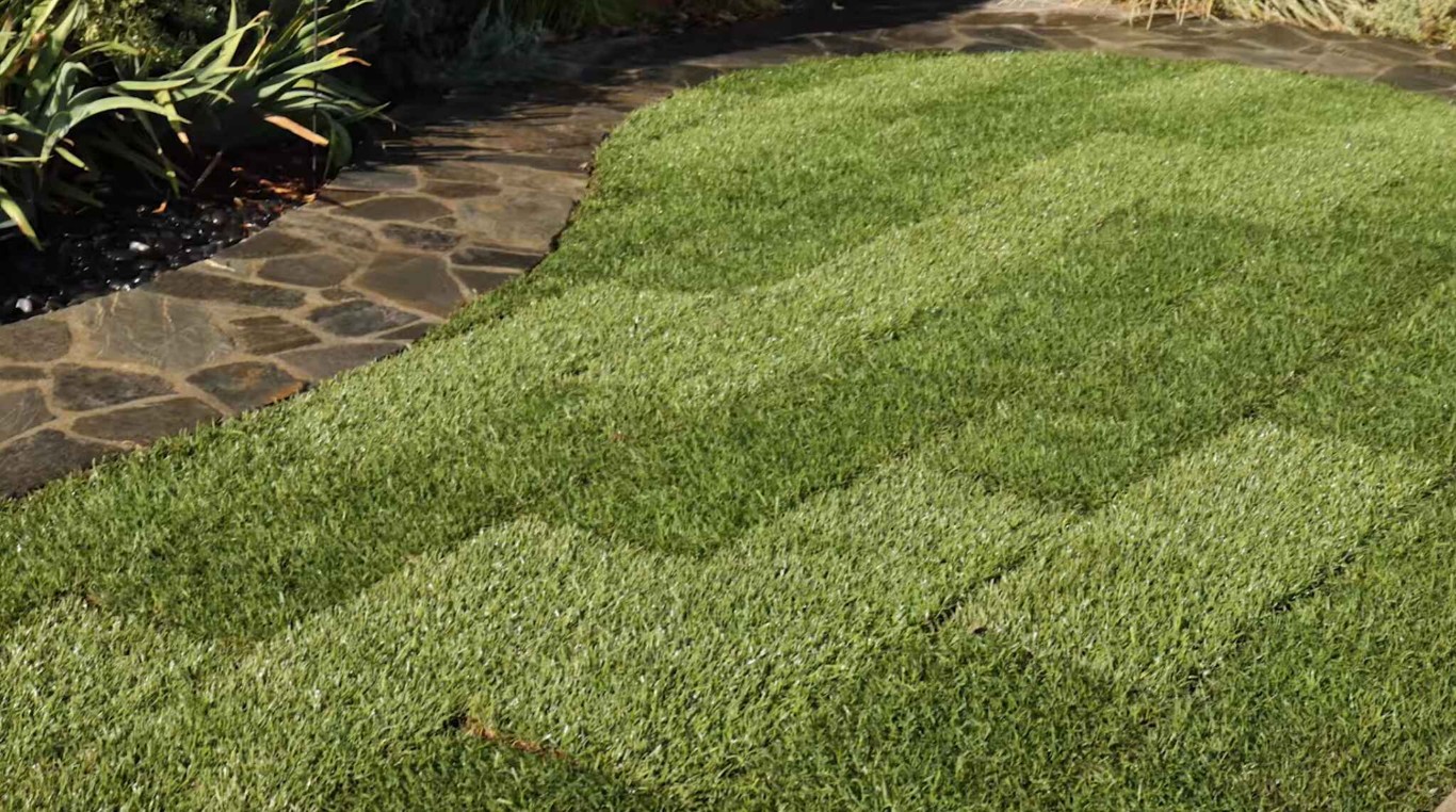 Lawn Care & Maintenance services in Doral, FL